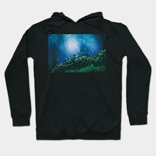 Mystery forest Hoodie